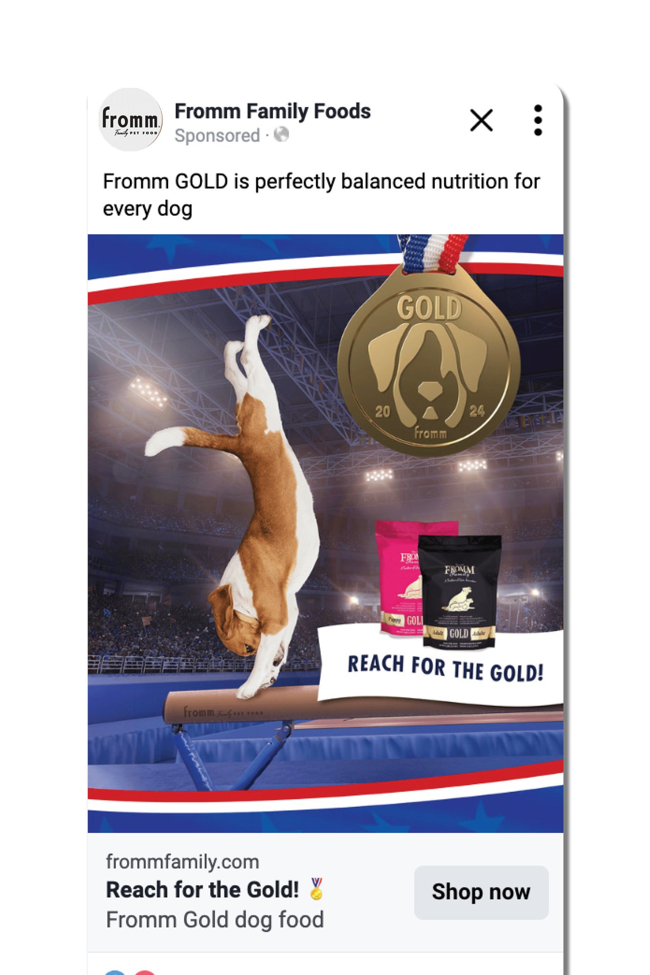 3352_partner-portal-ad-graphic_1200x1800_BALANCE_BEAM