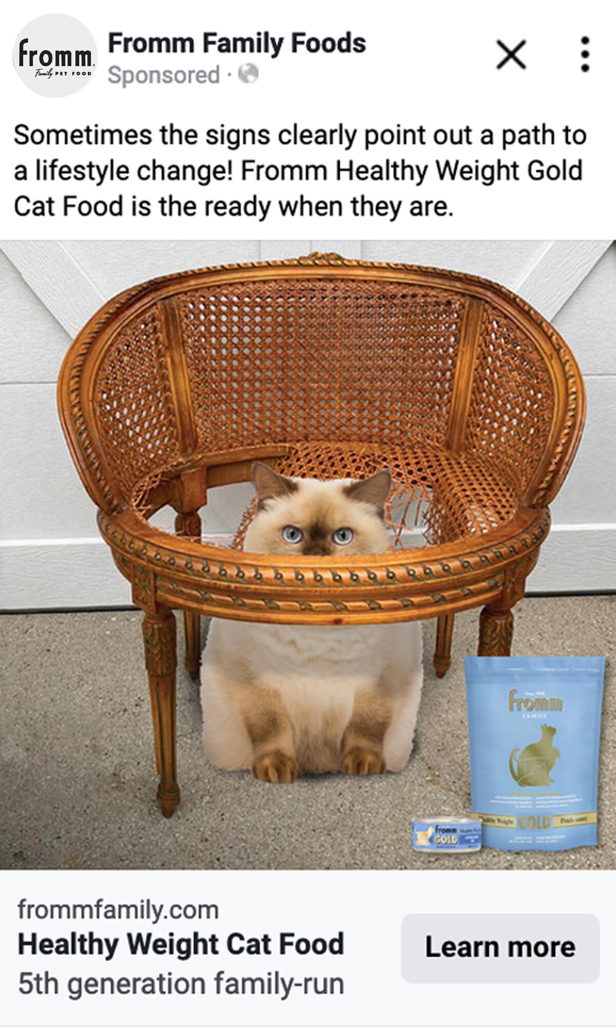 3727_PORTAL_gold-cat-partner-portal-post-previews_1200x2000_03-1