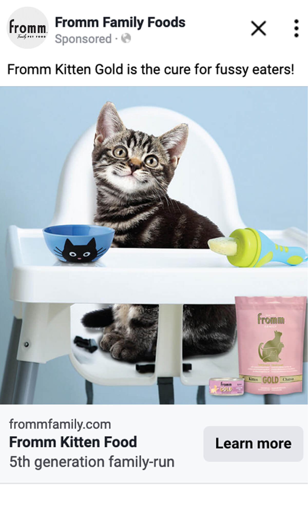 3727_PORTAL_gold-cat-partner-portal-post-previews_1200x2000_04-1