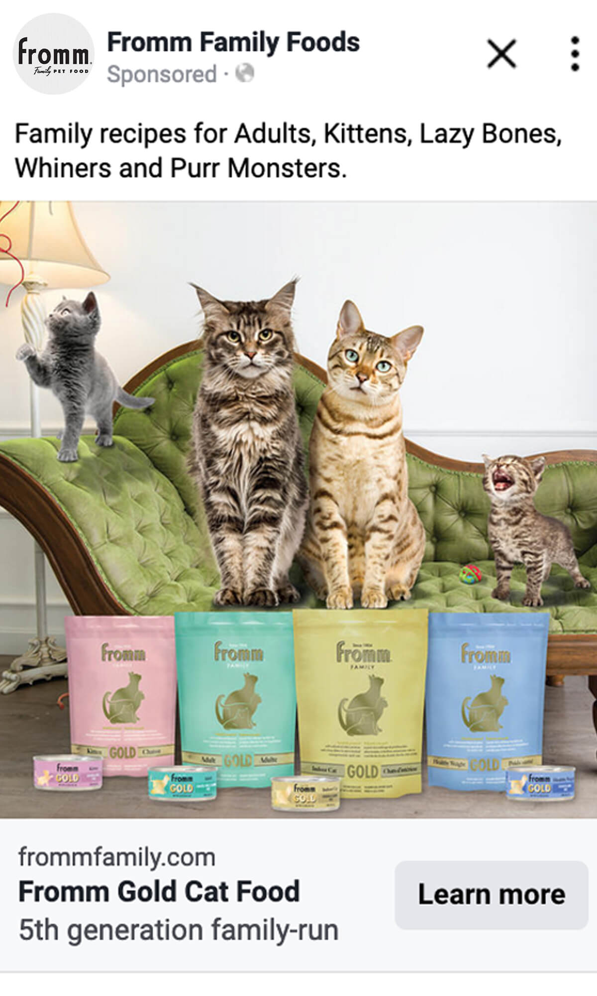 3727_PORTAL_gold-cat-partner-portal-post-previews_1200x2000_05-1